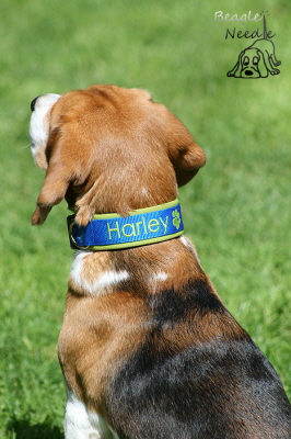 Halsband Harley